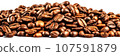 Roasted fresh aromatic coffee beans on a mirrored table surface on a white banner background. Panoramic image. 107591879