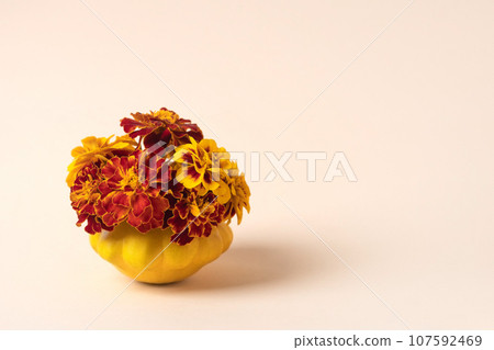 Orange pumpkin with marigold flowers for Thanksgiving or Halloween. Orange pumpkins composition. Halloween, design, autumn. Nature concept 107592469