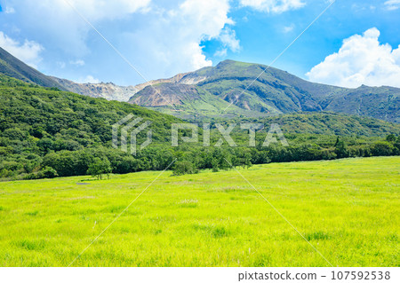 夏天的蓼原濕地 大分縣九重町 夏天的蓼原濕地 大分縣九重町 107592538