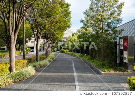 [Nagoya Central Garden] Quiet streetscape in the early morning 107592837