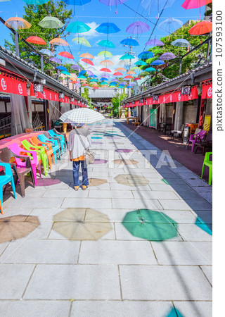 Pinko Umbrella Sky [Saku Naritasan Yakushiji Temple Approach] 107593100