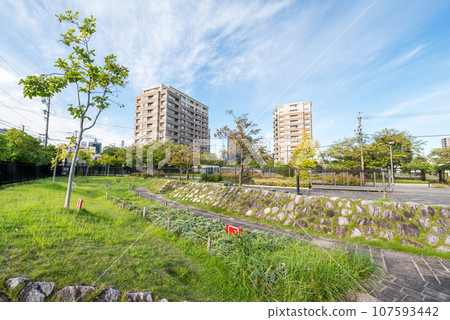 [Nagoya Central Garden] Quiet park in the early morning 107593442
