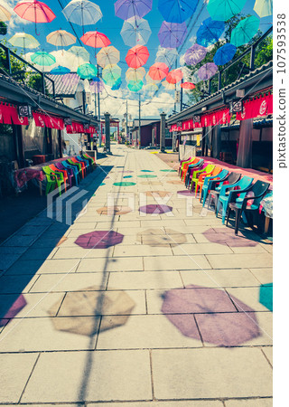 Pinko Umbrella Sky [Saku Naritasan Yakushiji Temple Approach] 107593538