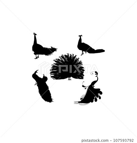 Peacock set silhouette icon logo 107593792