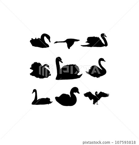 swan animal set silhouette creative design 107593818
