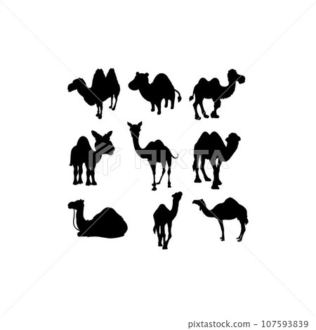 camel set collection silhouette design 107593839