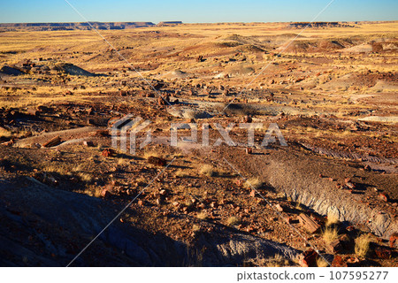 Rugged and Desolate Landscape Petrified Forest Arizona 107595277