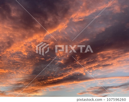 晨光 晨光 107596260