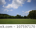 Park with lawn 107597170