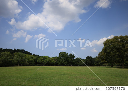 Park with lawn 107597170