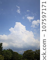 Summer blue sky and white clouds 107597171