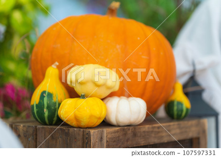 萬聖節活動圖片 107597331