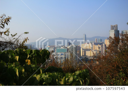 17 Jan 2015 the Kwai Chung district at hong kong 107597543