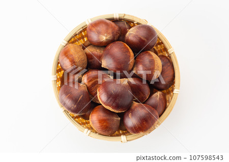 Chestnut  107598543