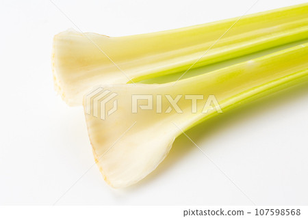 celery  107598568