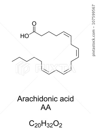 Arachidonic acid, AA or ARA, chemical formula and structure. Polyunsaturated omega-6 fatty acid, present in phospholipids of membranes of body cells, and abundant in the brain, muscles, and liver. 107599567