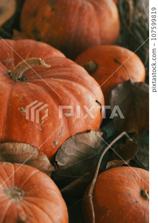 Autumn pumpkins background, vertical photo, close-up, selective focus. Autumn pumpkins background, vertical photo, close-up, selective focus. 107599819
