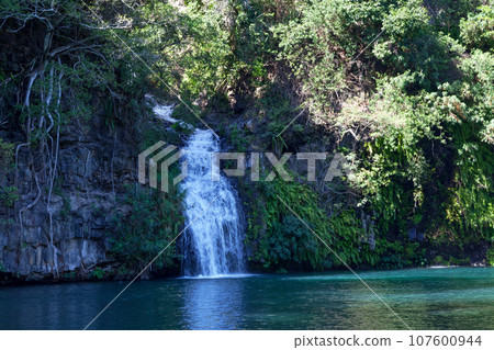 Waterfall at the Bassin Cormoran in Reunion Island Waterfall at the Bassin Cormoran in Reunion Island 107600944