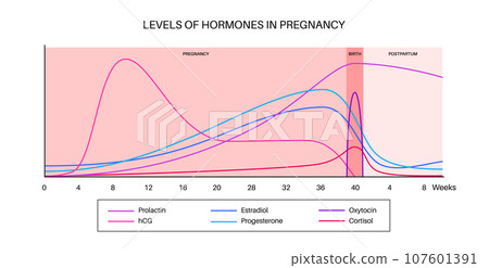 Hormones in pregnancy 107601391