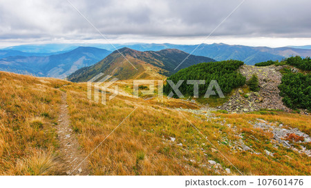 landscape with trail through grassy hills. distant mountain ridge beneath a cloudy sky. beautiful nature scenery in early autumn landscape with trail through grassy hills. distant mountain ridge beneath a cloudy sky. beautiful nature scenery in early autumn 107601476