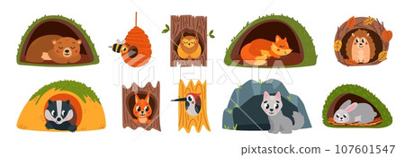 Animals inside burrows and hollows. Wild animal sleep, woodland children cute characters. For wolf in burrows, squirrel in hollow tree classy vector set 107601547