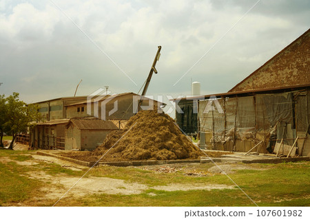 A pile of cow dung near a farm. Methane air pollution symbol. A pile of cow dung near a farm. Methane air pollution symbol. 107601982