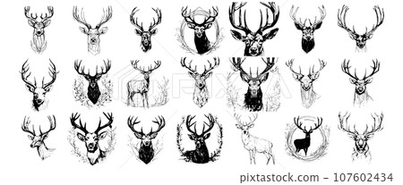 deer portrait isolated black and white vector background. emblem portrait realistic deer tattoo isolated. wild animal deer portrait isolated black and white vector background. emblem portrait realistic deer tattoo isolated. wild animal 107602434
