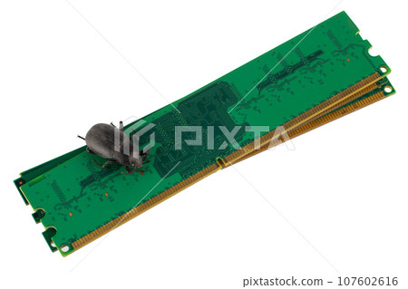 Bug on PC memory module. Computer error concept. 107602616