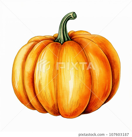 Pumpkin isolated on white background. Hand drawn watercolor illustration. 107603187