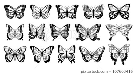 Elegant Monochrome Set Of Black Butterfly Silhouettes, Their Delicate Wings Poised In Graceful Flight Isolated On White Elegant Monochrome Set Of Black Butterfly Silhouettes, Their Delicate Wings Poised In Graceful Flight Isolated On White 107603416