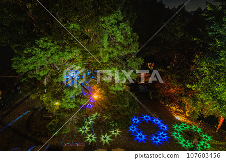 安神之光 高澤觀音/日龍峰寺 安神之光 高澤觀音/日龍峰寺 107603456