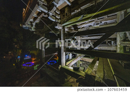 Special night visit to Takazawa Kannon and Nichiryumineji Temple 107603459