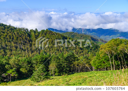 沿著小金澤山脈和山脊欣賞草原和藍天的壯麗景色 107603764