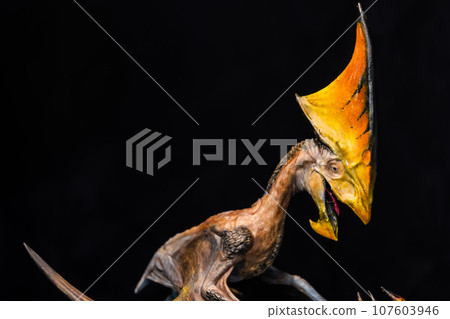Tupandactylus dinosaur in the dark 107603946