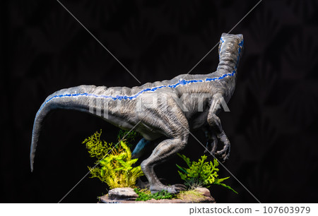 Velociraptor Dinosaur in the dark Velociraptor Dinosaur in the dark 107603979