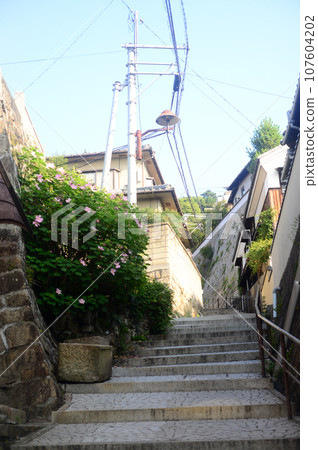 Onomichi slope path-3 Onomichi slope path-3 107604202