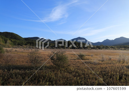 奧日光的著名景點小田代原 奧日光的著名景點小田代原 107605599