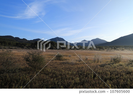 奧日光的著名景點小田代原 奧日光的著名景點小田代原 107605600