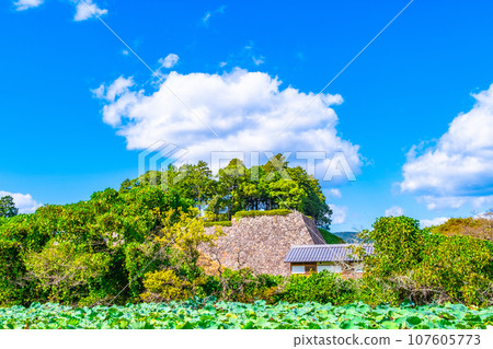 Tamba Sasayama Castle ruins and stone walls 107605773