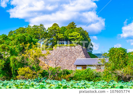 丹波筱山城遺址與石牆 107605774