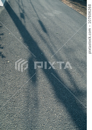 電線桿的影子映在路上 107606268