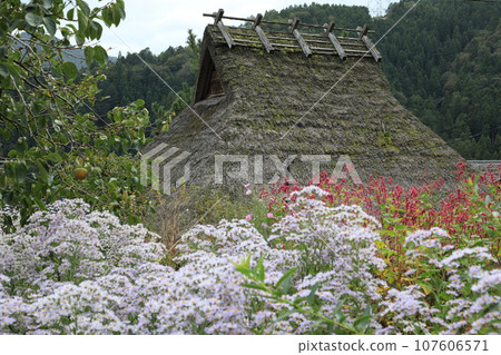 茅草屋頂的宮山茅吹之裡 107606571