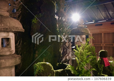 [Osaka] Honzenji area (night view) 107606839