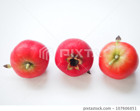 Herbal medicine Hawthorn 107606851