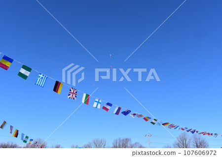 國旗在藍天上翩翩起舞 107606972