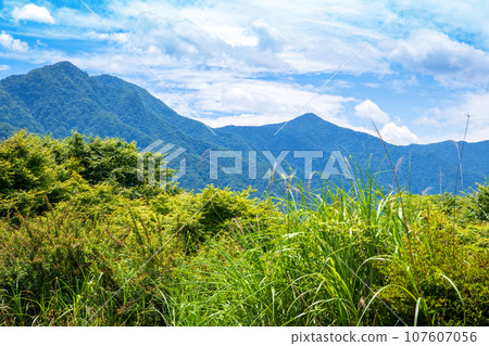 從三峰神社停車場眺望、雲取山、白岩山、仲夏風景、秩父市 從三峰神社停車場眺望、雲取山、白岩山、仲夏風景、秩父市 107607056