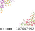 Background material of plants with colorful fruits 107607492