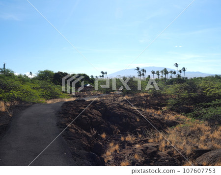 徒步前往夏威夷大島的魚塘 107607753