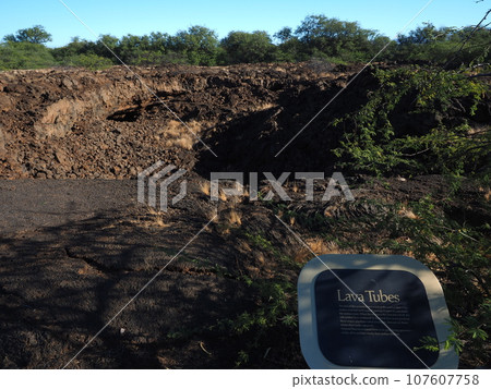 夏威夷島熔岩洞 107607758