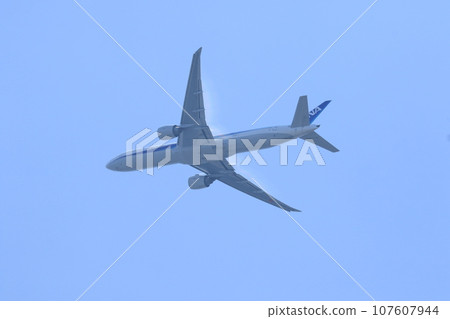 shining wing airplane 107607944